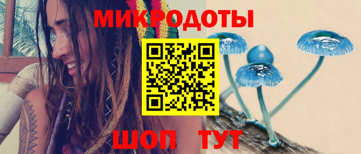 Псилоцибиновые грибы Magic Shrooms Богородск
