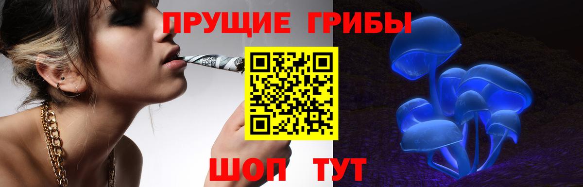 Псилоцибиновые грибы Psilocybine cubensis  Вход с VPN  Богородск 